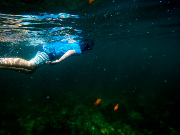 istock Swimming in Catalina Island oceans 1252396033