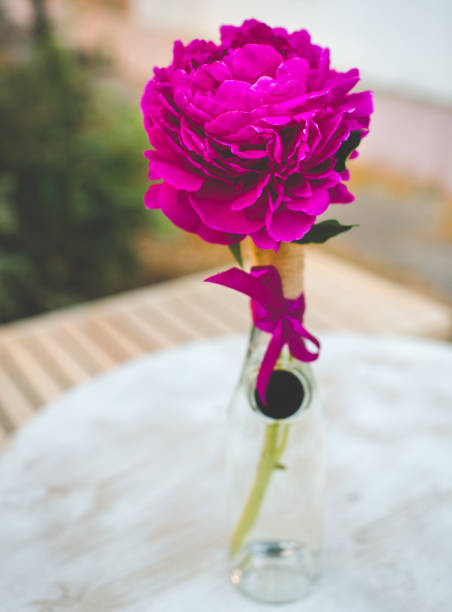 istock Bright pink peony in a bottle 1252396083