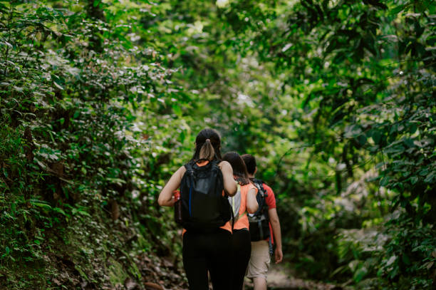 istock 3 asian chinese friends walking in the jungle exploring 1252396827