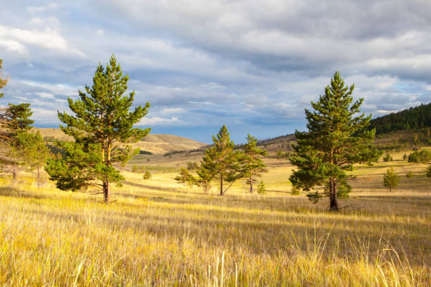istock Steppe shore of Lake Baikal. Summer landscape. 1252399202