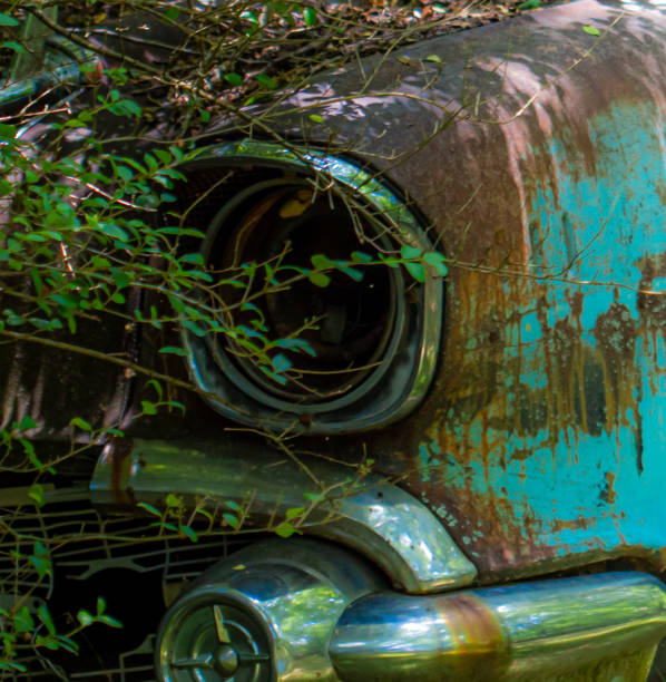 istock Old Junk Yard Cars 1252400862