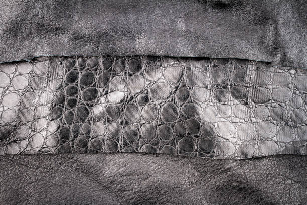 istock Black leather and fake alligator skin textures background 1252401497