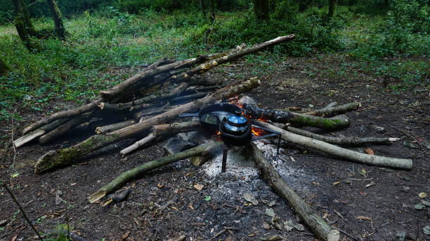 istock Steep tea on campfire in forest, Camping in nature 1252402100