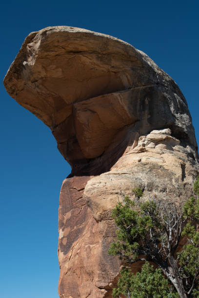 istock Top of a free-standing large boulder 1252402300