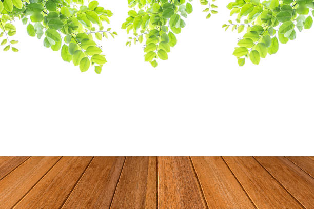 istock fresh leaf with wooden mock up isolated on white background 1252404639