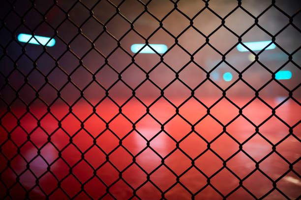 istock Fighting stage side view. Close up on arena net 1252405017