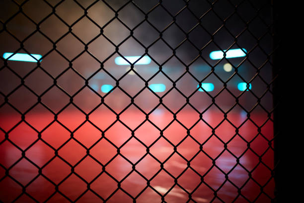 istock Fighting stage side view. Close up on arena net 1252405034