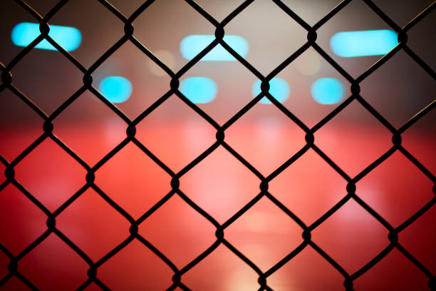 istock Fighting stage side view. Close up on arena net 1252405092