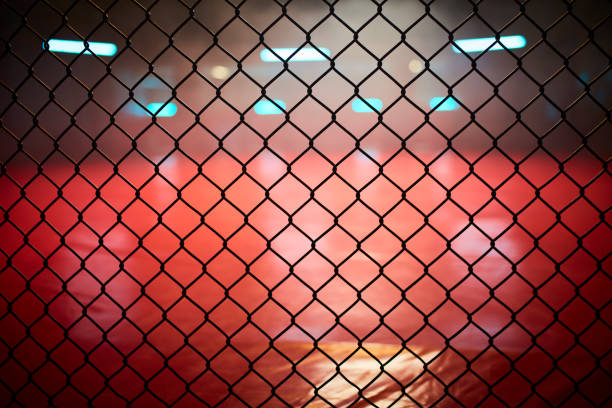 istock Fighting stage side view. Close up on arena net 1252405105