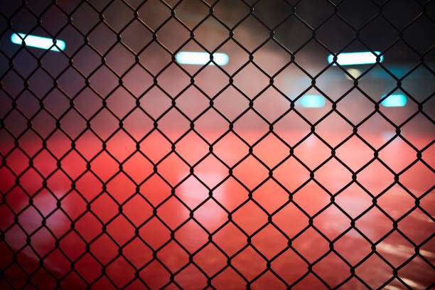 istock Fighting stage side view. Close up on arena net 1252405157
