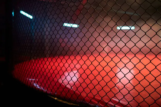 Photo of Fighting stage side view. Close up on arena net
