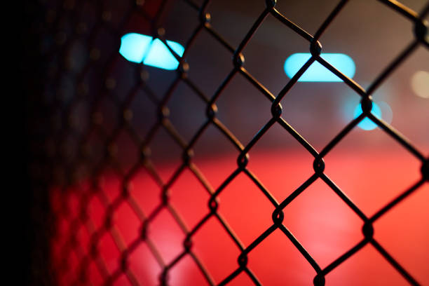istock Fighting stage side view. Close up on arena net 1252405242
