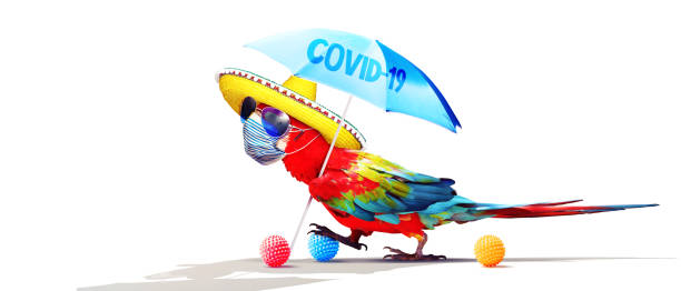 istock Macaw parrot with medical mask on vacation 1252405246