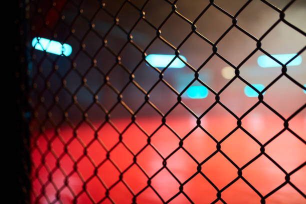 istock Fighting stage side view. Close up on arena net 1252405258