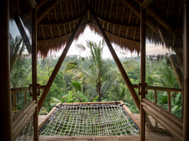 istock Bamboo balcony with hammock of the tropical tree house. 1252411790