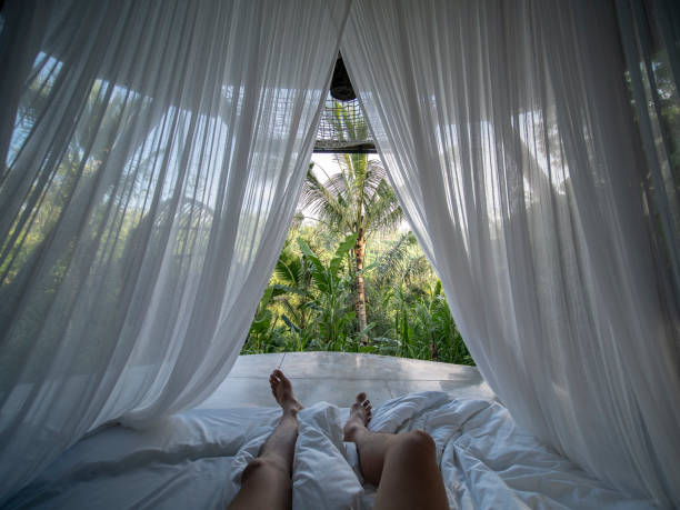 first-person-ansicht des menschen: aufwachen auf dem bett mit moskitonetz bedeckt mit blick auf die tropische ansicht. - mosquito netting stock-fotos und bilder