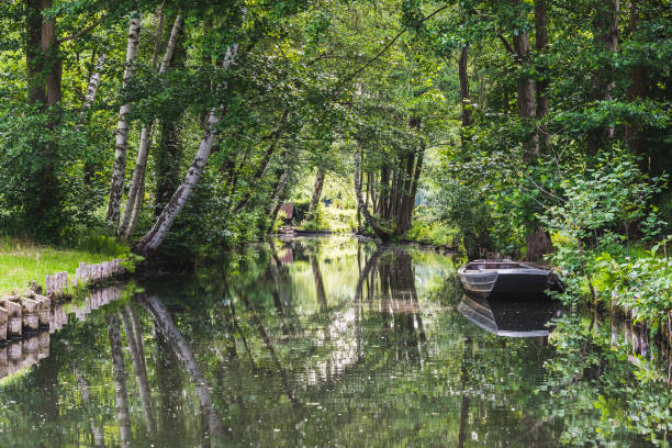 Water canal in Spree forest (Spreewald) in the state of Brandenburg, Germany in early summer Water canal in the biosphere reserve Spree forest (Spreewald) in the state of Brandenburg, Germany, in early summer spreewald stock pictures, royalty-free photos & images