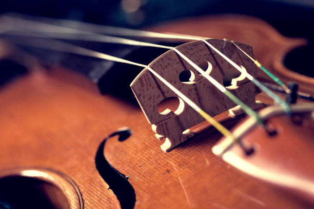 istock Closeup Of Violin Bridge, Bottom Up View 1252413954