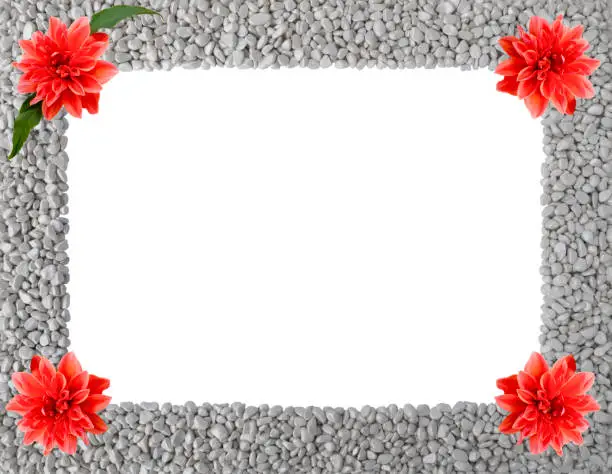 Summer autumn frame made of grey stones,smooth pebbles,piles of rocks with orange flowers of Royal Dahlia,one with green leaves,in corners.Rectangular empty copy space.Closeup nature design,top view