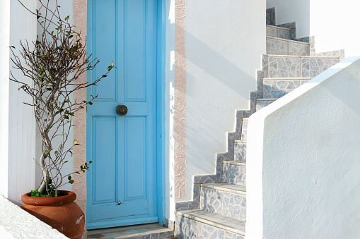 Plant in pot near light blue doors on Santorini Island, Cyclades, Greece. Traditional design of residential white walls house.
