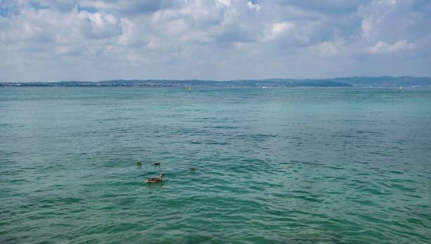 istock Sirmione, Lake Garda, Italy 1252420187