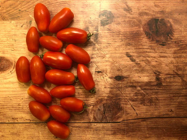 plum or paste tomatoes on te vine. datterini tomatoes. - plum tomato fotos imagens e fotografias de stock