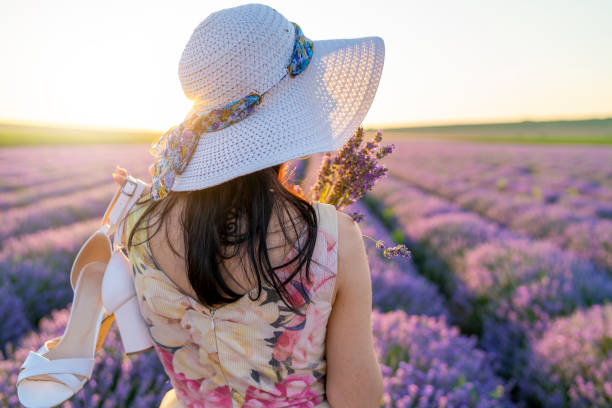 istock Beauty in Lavender Field 1252423244