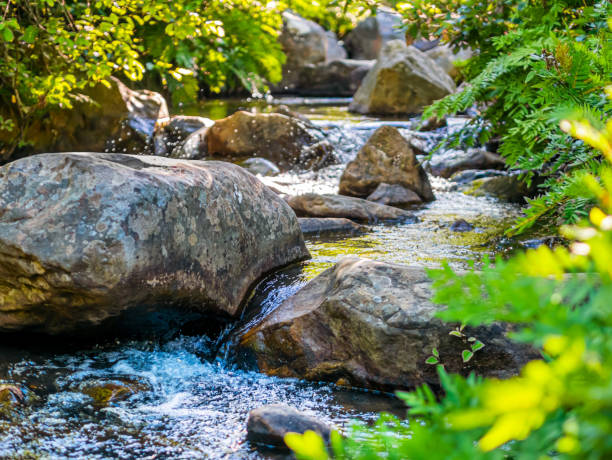 Free gentle stream stock photos. Download the best free gentle stream ...