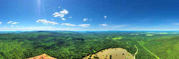 istock Panorama of the endless forest on bright sunny day. View from above 1252441500