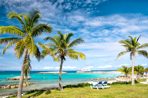 istock Idyllic tropical beach with palm trees 1252443869