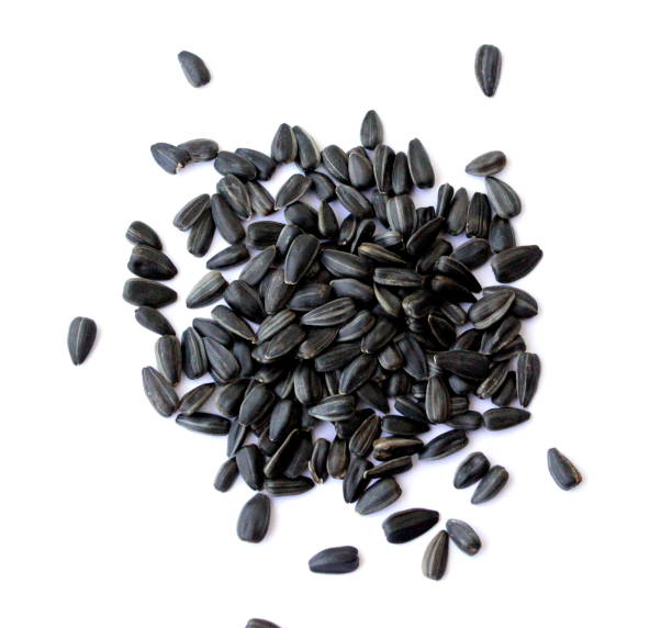 istock Black small sunflower seeds. 1252444318