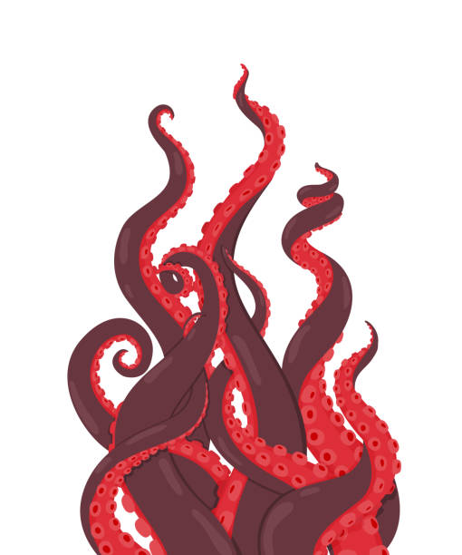 illustrazioni stock, clip art, cartoni animati e icone di tendenza di polpo. tentacoli di polpo rosso che raggiungono verso l'alto. illustrazione vettoriale di kraken o calamari. cartone animato subacqueo animale marino - octopus tentacle isolated white