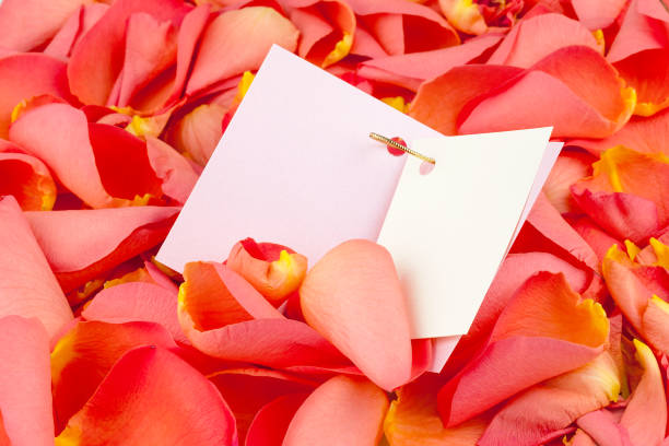 istock Card on petals of roses 1252446091