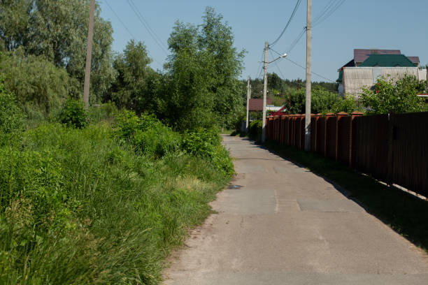 istock road in a green forest in summer 1252448220