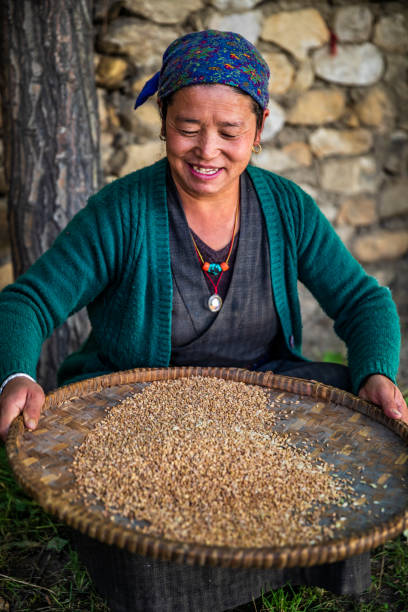 istock Tibetan woman separates grain from husks, Upper Mustang 1252460374