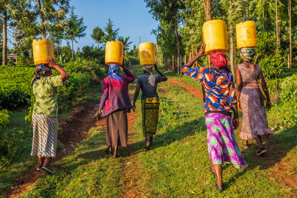 femmes africaines transportant l’eau, kenya, afrique de l’est - porter sur la tête photos et images de collection