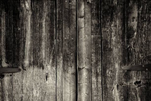 wooden door lock - lock door horror gate imagens e fotografias de stock