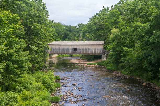 istock Salmon River flowing beneath the Comstock Bridge 1252466165