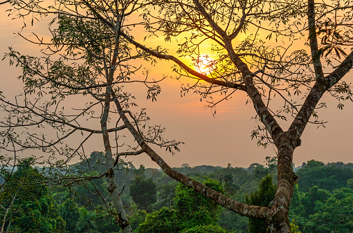 Aerial Amazon Rainforest landscape at sunset which comprise the countries of Brazil, Peru, Ecuador, Suriname, (French) Guyana, Bolivia, Venezuela, Colombia.