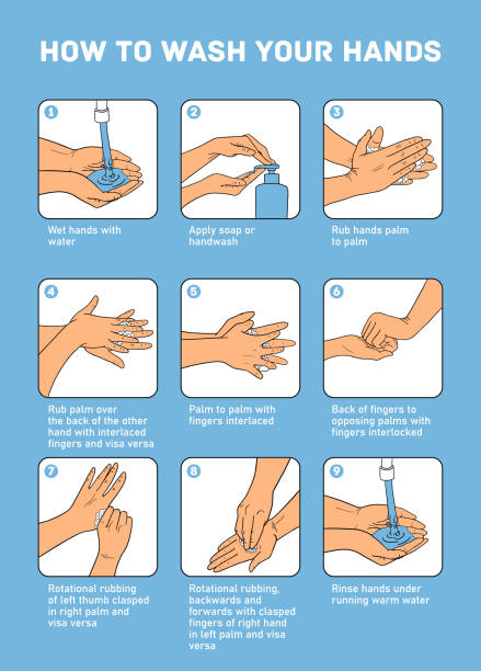 Personal hygiene, disease prevention and healthcare educational infographic Personal hygiene, disease prevention and healthcare educational infographic. How to wash your hands properly step by step health poster stock illustrations
