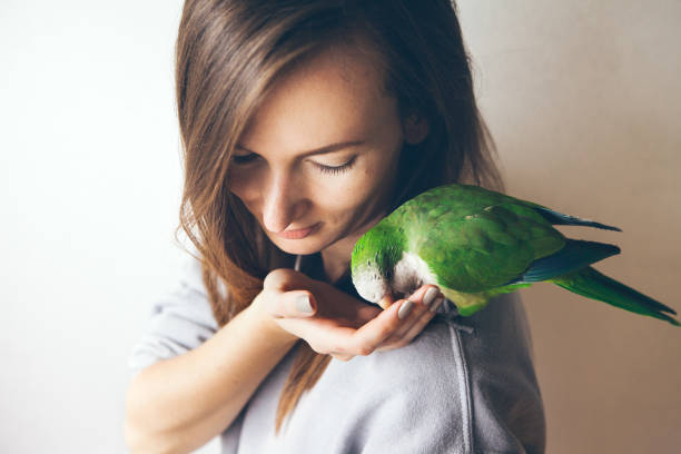 retrato de una joven con loro periquito monje a shaming y amigable que está sentada sobre su hombro y comiendo comida de su mano. - parrot young animal human hand cute fotografías e imágenes de stock