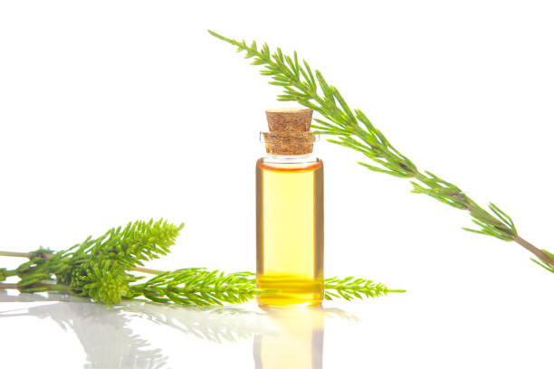 istock horsetai essential oil in  beautiful bottle on White background 1252473774
