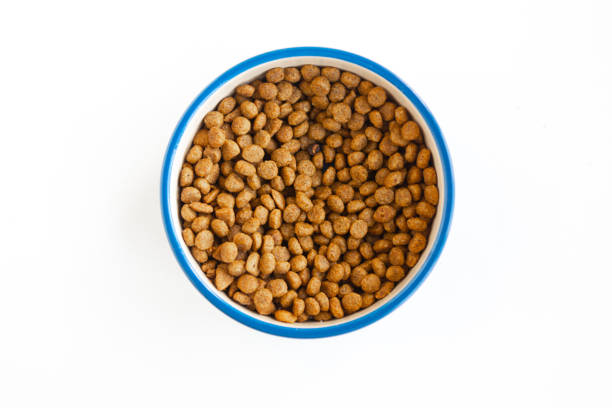 istock Dry cat food in a bowl top view, isolated on white 1252475100