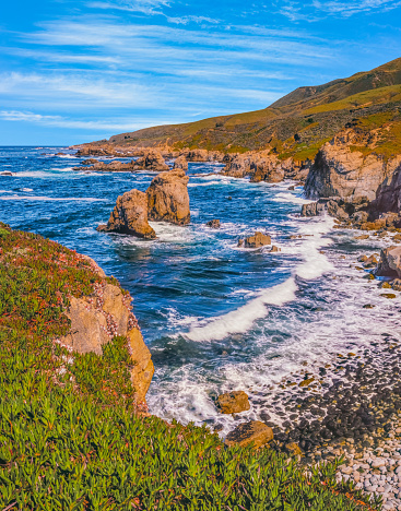 Seascape of Big Sur coastline with breaking waves in a rocky cove, Big Sur California. Sea stacks pop up in the Pacific Ocean, and ice plant covers the slopes.