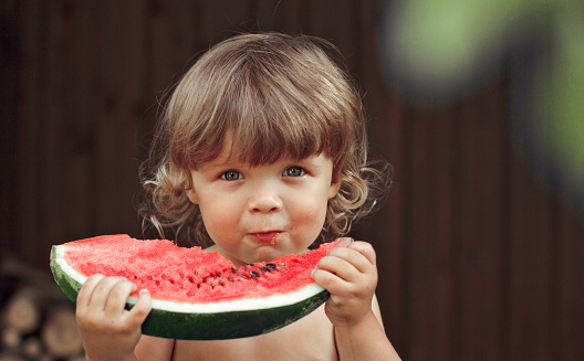2 years old child holds a piece of ripe red watermelon with seeds close-up, selective focus