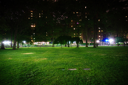 Night at a park in the city of New York with apartment buildings on the background