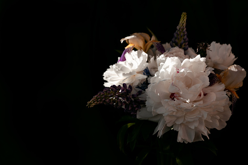 Vintage bouquet of beautiful peonies on black. Florist decoration. Floral background. Baroque old fashion style. Natural flowers pattern wallpaper or greeting card