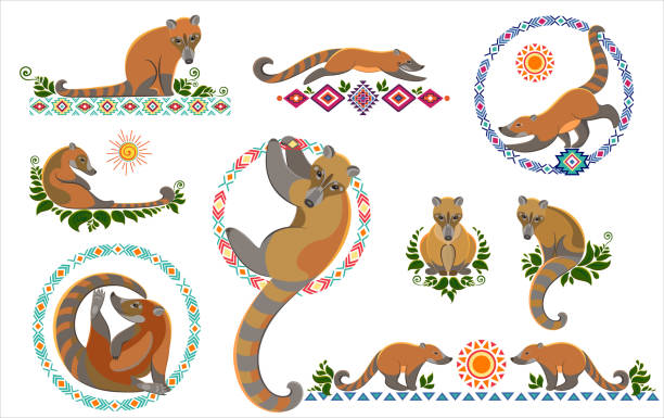 ilustrações, clipart, desenhos animados e ícones de decoração coati da américa do sul. pronto para qualquer tipo de projeto. - coati