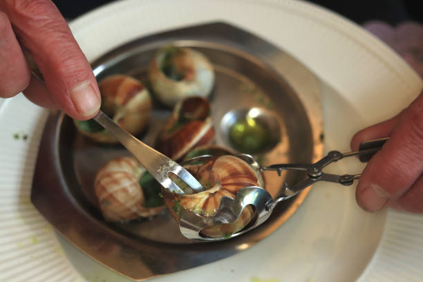 escargots de bourgogne - garlic butter snail garlic herb photos et images de collection