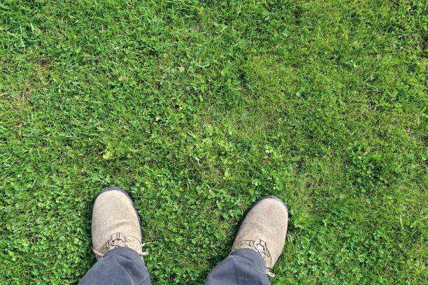 istock Legs in hiking boots stand on a mowed meadow 1252504351